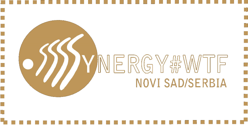 synergy-logo