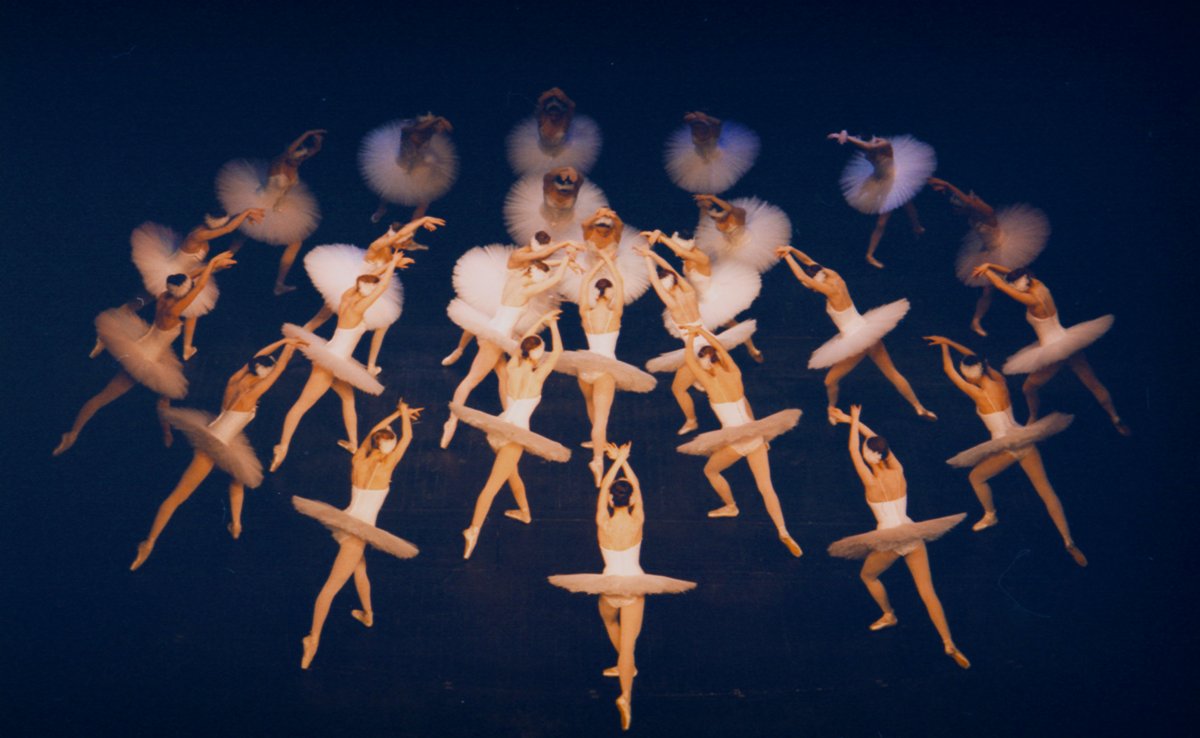 labudovo-jezero-vest