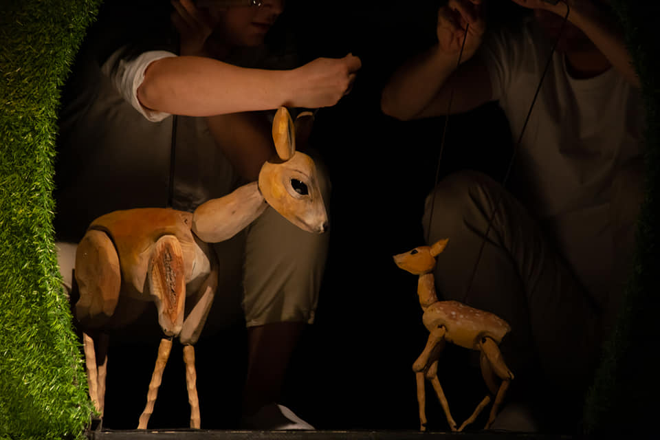 pozoriste-za-decu-i-mlade-iz-kragujevca-gost-na-ovogodisnjem-zvezdaristu2