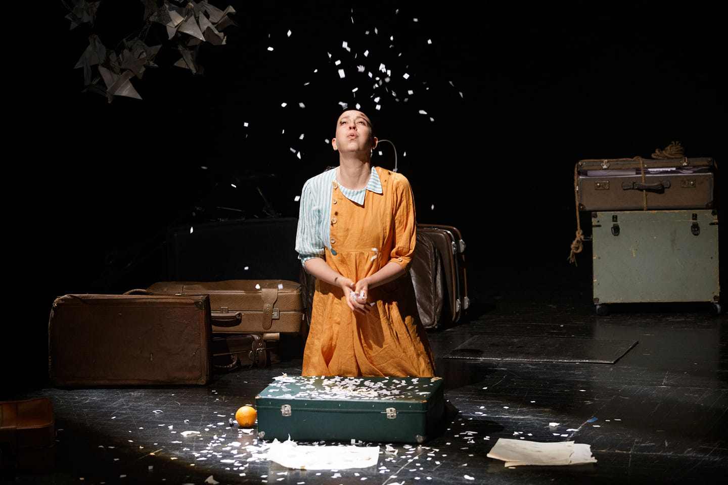 smeh-i-suze-treceg-dana-zvezdarista2