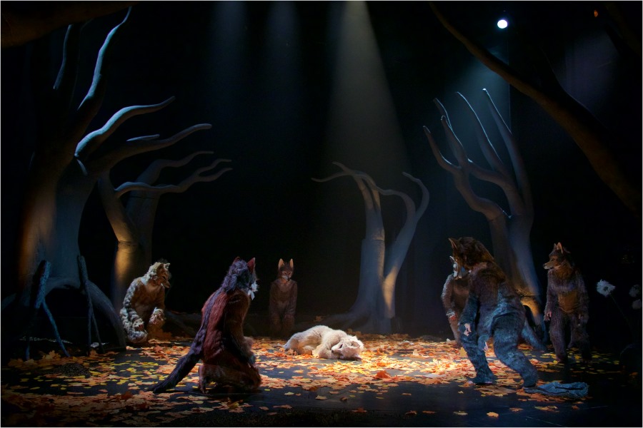 u-potrazi-za-plavim-zecom-pronasli-gran-pri2